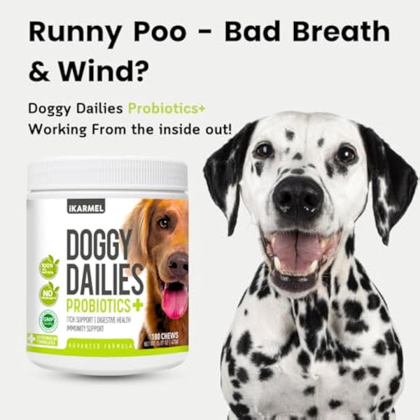 Doggy Dailies Probiotics for Dogs - Canine Supplements for Digestive and Immunity Support - Skin Health and Itch Support - Vitamin Treats - Veterinarian Formulated Probiotic