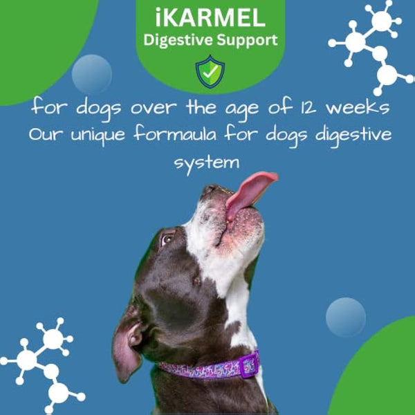 Doggy Dailies Probiotics for Dogs - Canine Supplements for Digestive and Immunity Support - Skin Health and Itch Support - Vitamin Treats - Veterinarian Formulated Probiotic