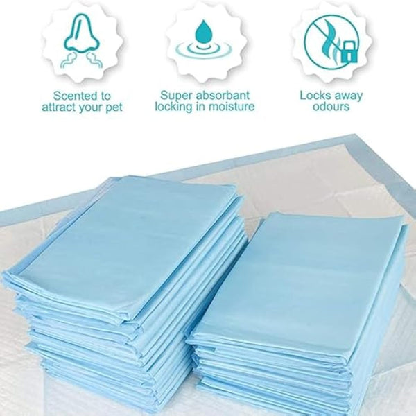 Petsentials Leakproof, Quick Dry, Dog/Puppy Disposable Training Pads Pack x105