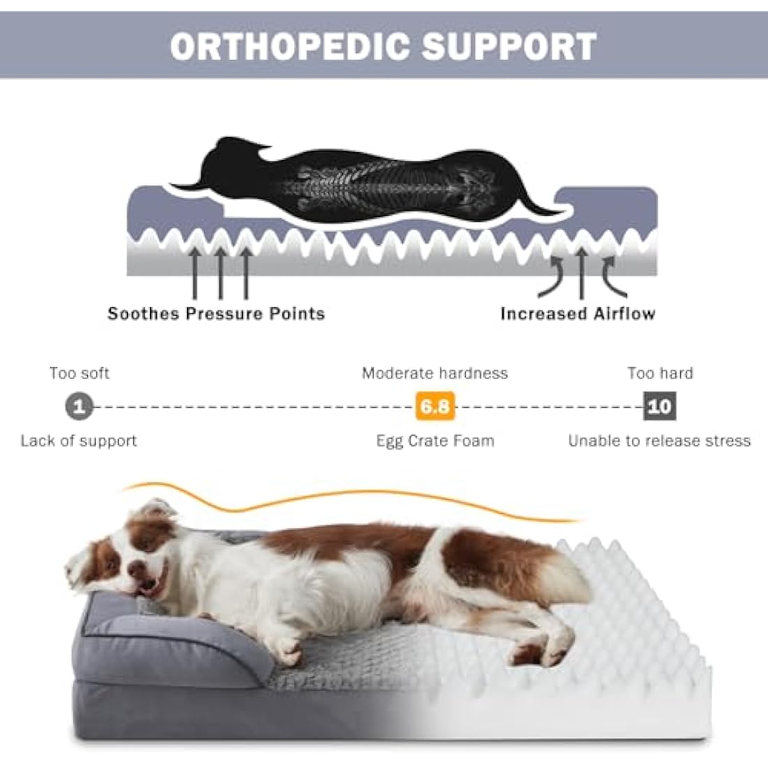 JOEJOY Large Dog Bed, Orthopedic Memory Foam Dog Beds, Washable Pet Bed, Fits up to 50lbs, Good for Doberman Pinscher, Sheltie, Border Collie, Australian Herding Dog