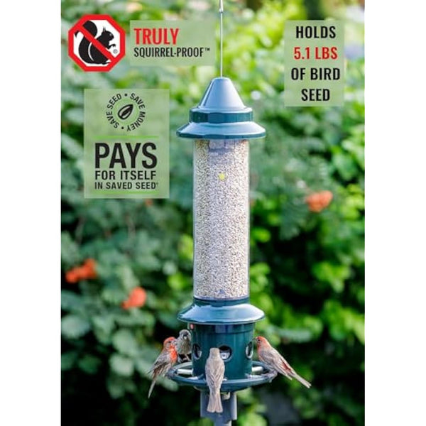 Jacobi Jayne 1024-V01 Feeder Buster Plus-Marauders Off Guaranteed Squirrel and Large Bird Proof/Metal, Green