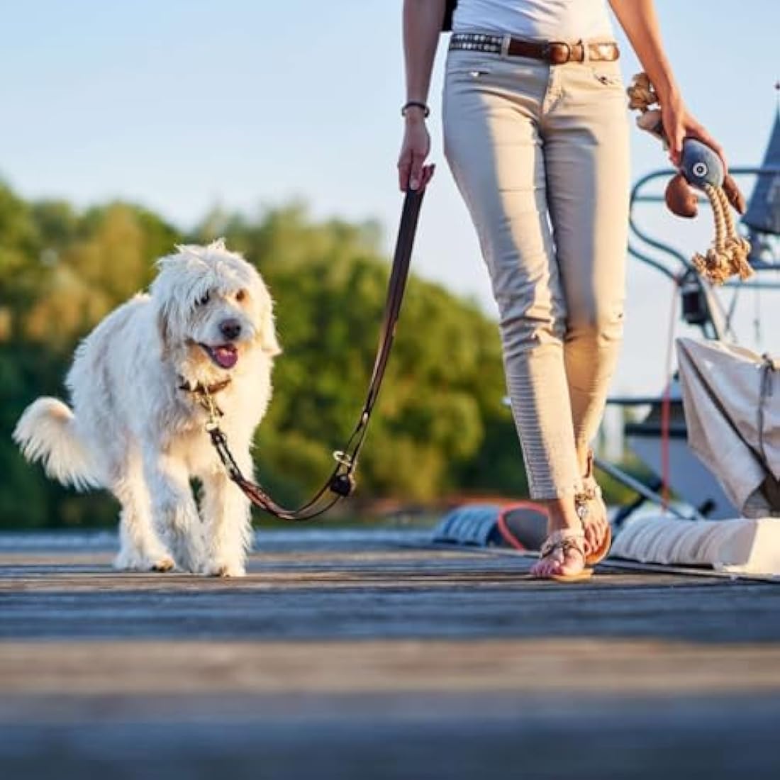HUNTER Sansibar Solid Dog Collar Leather Heavy Duty Grippy Braided 40 (S) Dark Brown