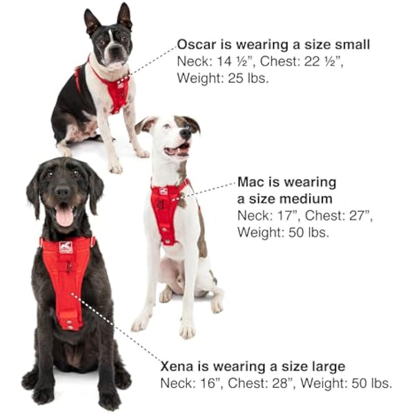 Enhanced Strenght Tru-Fit Smart Harness, Purple, Medium