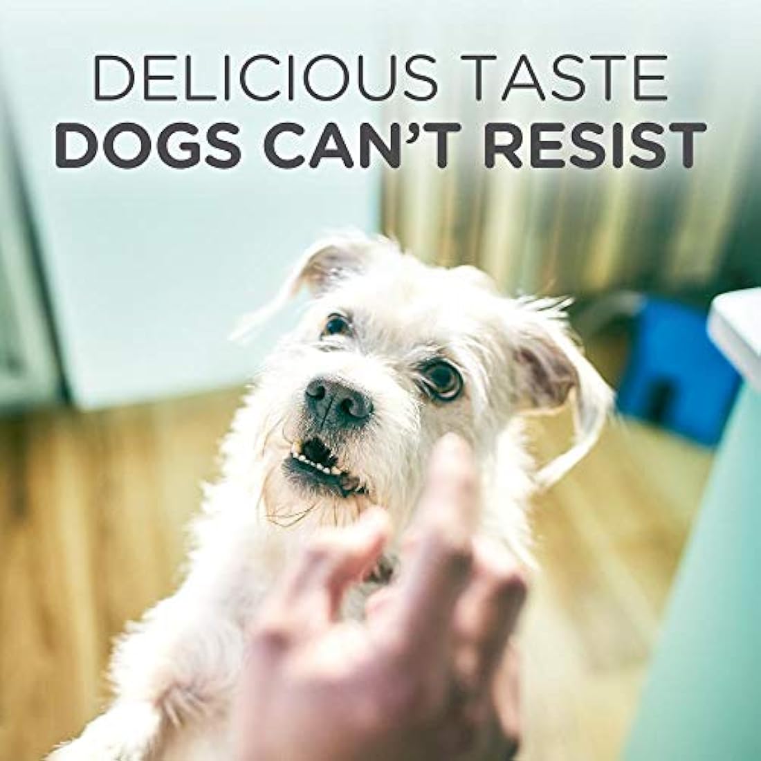 Hills Prescription Diet Canine Allergies or Intolerances Food for Dogs Hypoallergenic Biscuits, Variety, 1 x 220 g