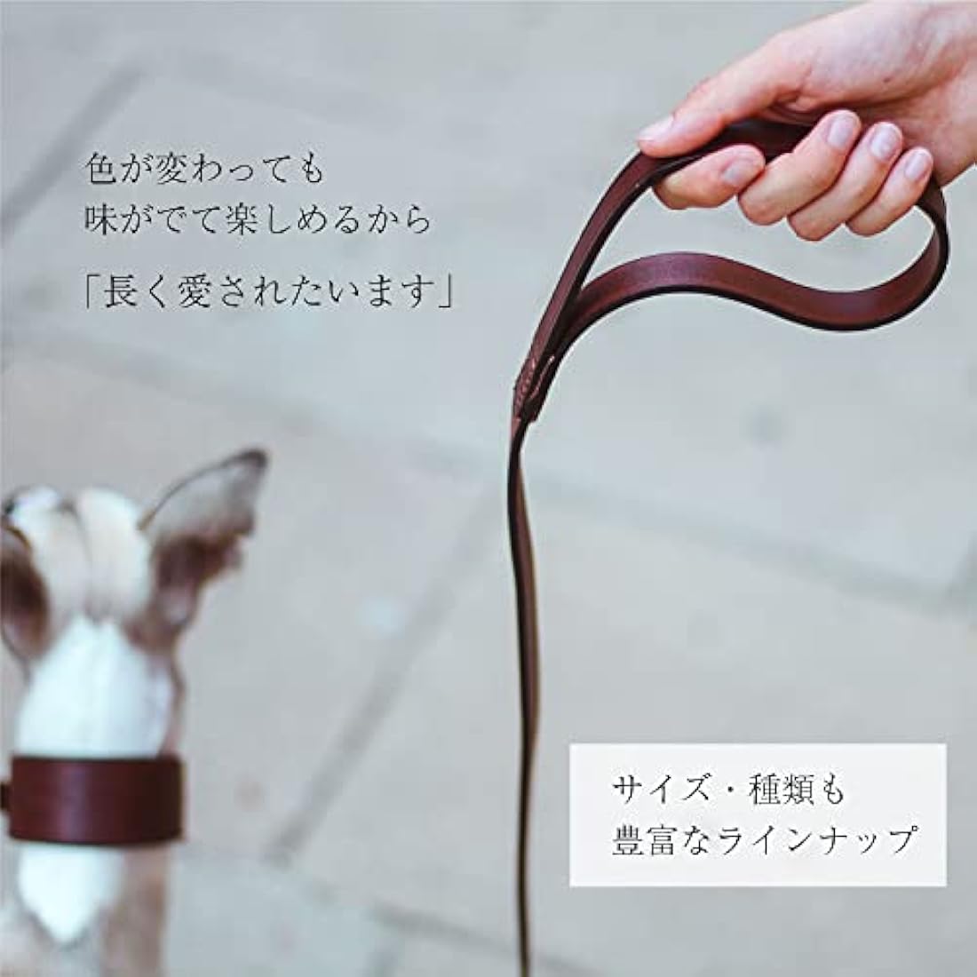 Ferplast VIP G20/150 Dog Lead, 20 mm/ 150 cm, Brown