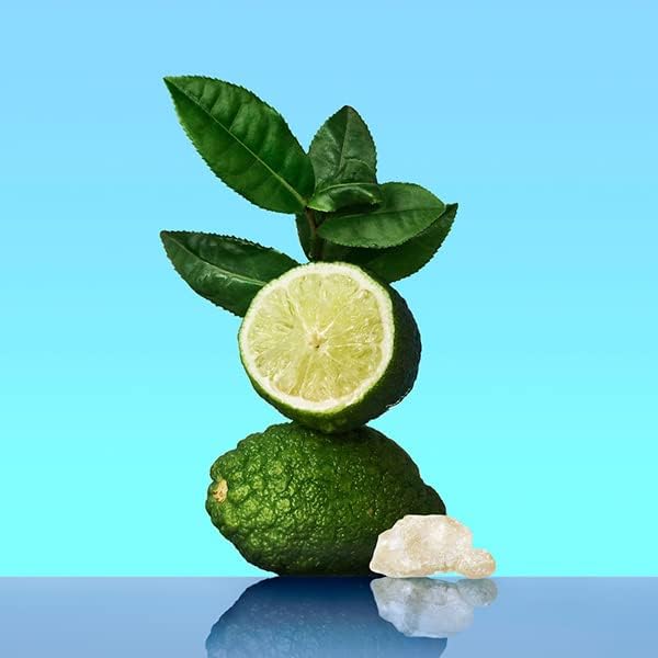 CALVIN KLEIN CK One - Unisex Eau de Toilette for All - Citrus & Aromatic Fragrance with Notes of Green Tea, Nutmeg and Musk - Medium Longevity - 200ml