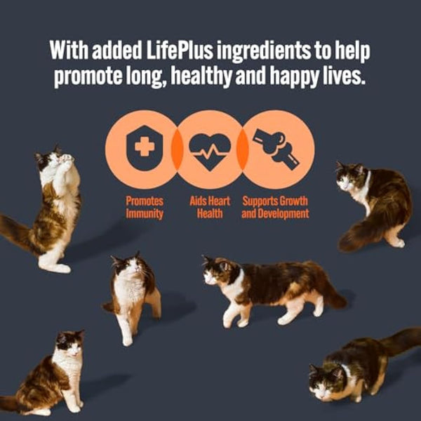 HiLife Kitten Wet Cat Food, Mixed Chicken & Tuna Pate Recipes, Complete Cat Food Pouches for Kittens 1 - 12 Months, 100% Natural & Grain Free (32 x 70g Pouches)