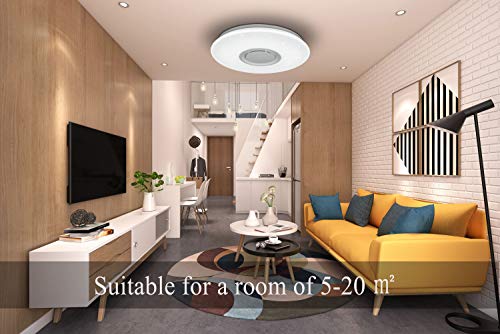 Horevo 24W Rainbow LED Ceiling Light with Remote Control, Music Bluetooth Speaker, APP Control, 40cm 2000LM Warm/Cold White, Modern RGB Dimmable