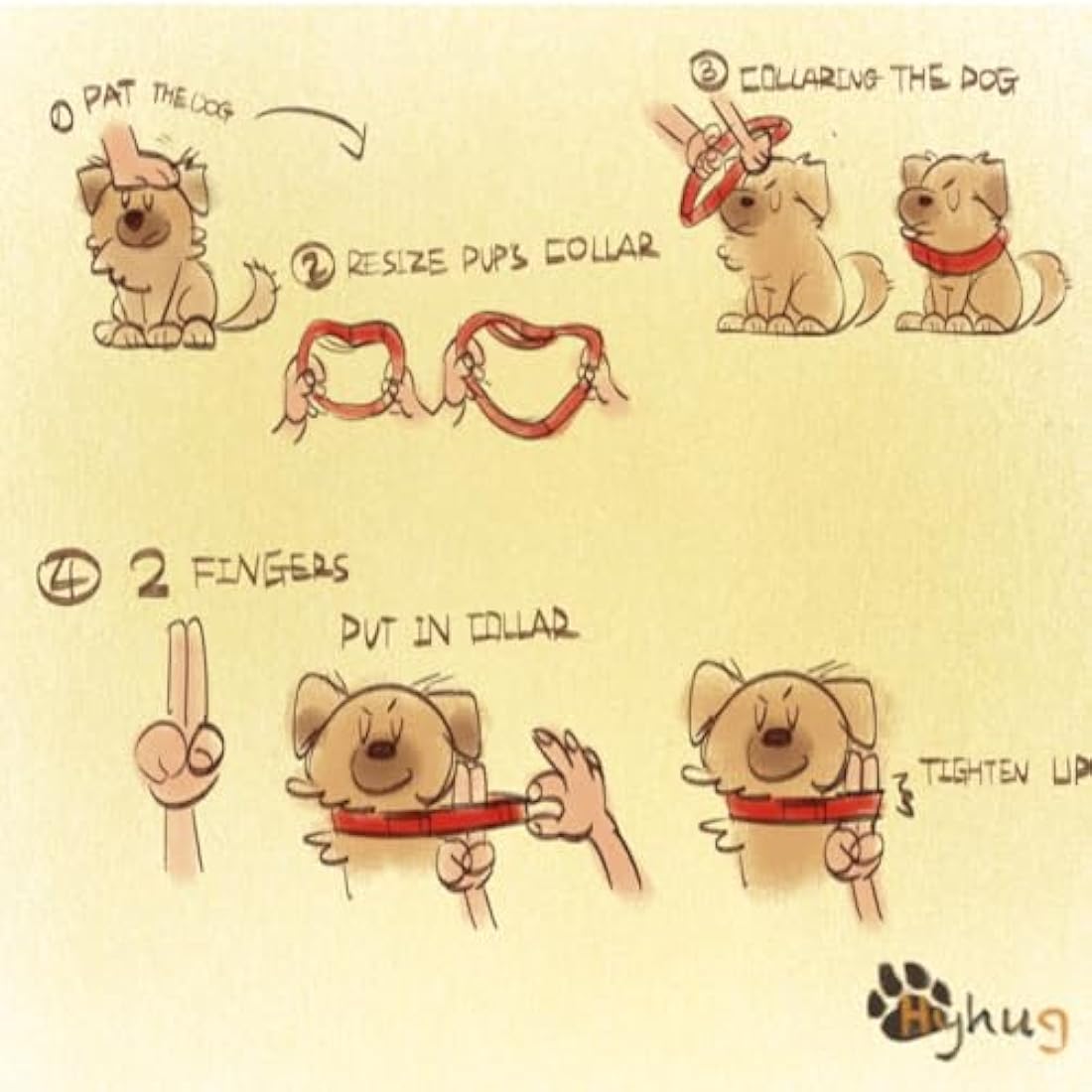 Hyhug Pets Solid Color Martingale Nylon Dog Collar, Heavy Duty Anti-Escape Large Dogs Collar.(Large,Lime Green)