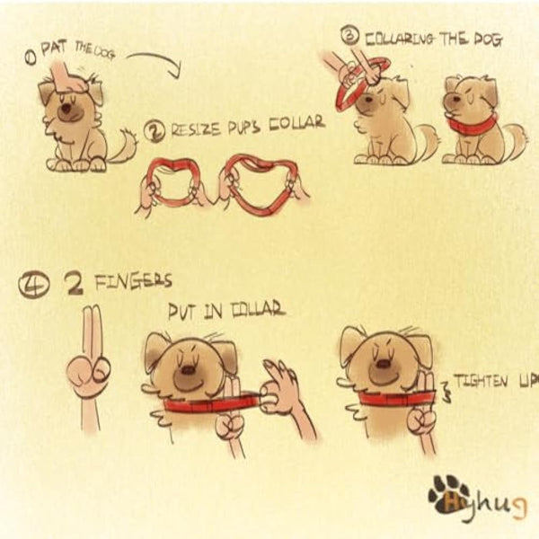 Hyhug Pets Solid Color Martingale Nylon Dog Collar, Heavy Duty Anti-Escape Large Dogs Collar.(Large,Lime Green)