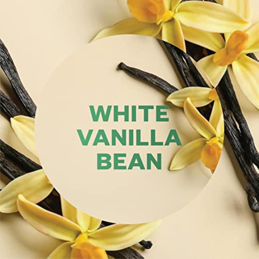 Air Wick| White Vanilla Bean| Plug in Electrical Essential Oils Air Freshener Kit Gadget and Refill| Pack of 4