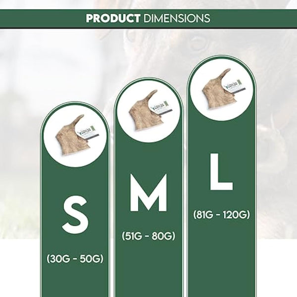 Highland Antler - Natural Fallow Antler Dog Chew. Pack of 1x Large (150g - 220g) Naturally Shed Fallow Deer Antler, Long Lasting Dog Chew Bone With Calcium And Minerals (Shape may vary)