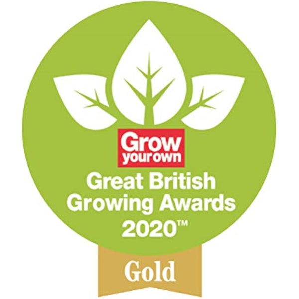 Spear & Jackson NEVERBEND3KW Kew Gardens Collection Neverbend Carbon 3 Piece Gift Set