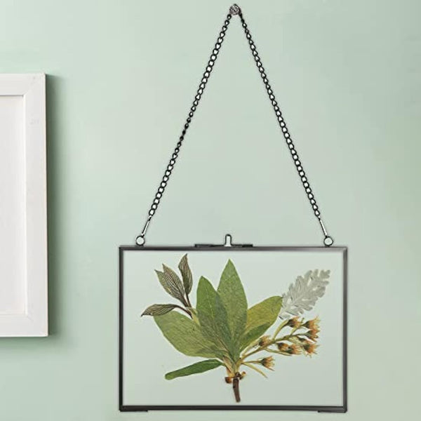 SUMTree Set of 2 Black Glass Hanging Photo Picture Display Frame, Floating Glass Picture Frame with Chain for Family Tree Mini Photo, Gallery Wall Art Work, Pressed Flower, collage, etc, 5 * 7 inch