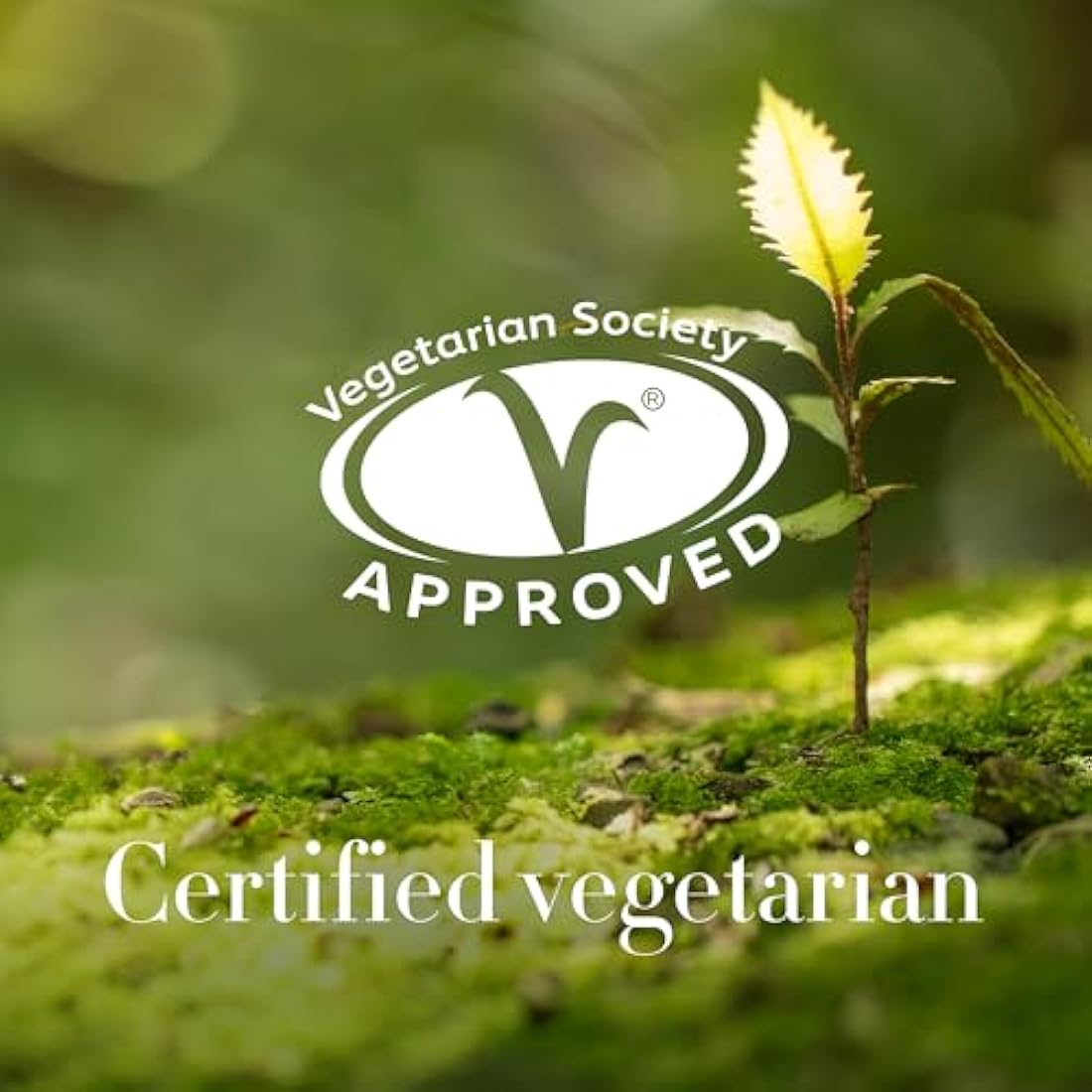 Antipodes Vanilla Pod Hydrating Day Cream 60ml