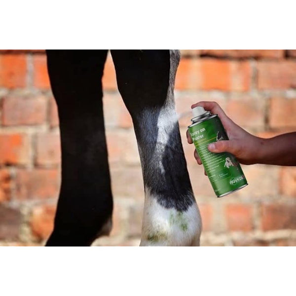 Aqueos Spray on Plaster for Dogs, Cats, Horses and All Animals - Protects Minor Wounds from Germs, Insect and Fly for use in Dog First Aid Kit / 200ml