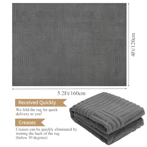 Enyhom Machine Washable Rugs for Living Room, 120 x 160 cm Non Shedding Area Rugs for Bedroom Soft High Pile Rugs Non Slip Carpet Large Fluffy Rug