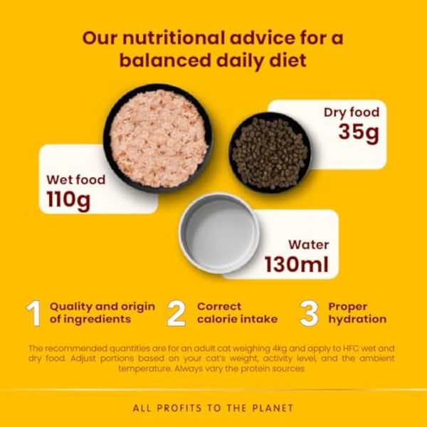 Almo Nature HFC Natural - Wet Cat Food for Cats - Tuna and Shrimps - Gluten-Free, Grain-Free, Human-Grade, Monoproteic - 70g (Pack of 24)