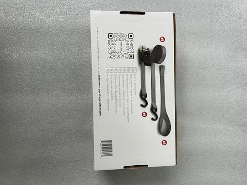 FORTEM Ratchet Straps, 748kg Break Strength, 4 Pack 4.6m x 2.54cm Tie Down Strap Set, 4 Soft Loops, Motorcycle Straps Tie Downs, Cargo Cam Buckles, Rubber Handles, Carry Bag