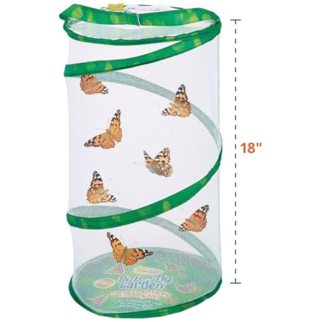 Insect Lore Giant Butterfly Garden Kit (Packaging May Vary)
