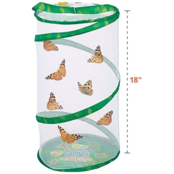 Insect Lore Giant Butterfly Garden Kit (Packaging May Vary)