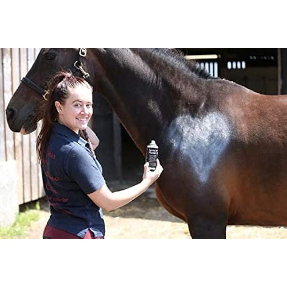 Aqueos Spray on Plaster for Dogs, Cats, Horses and All Animals - Protects Minor Wounds from Germs, Insect and Fly for use in Dog First Aid Kit / 200ml