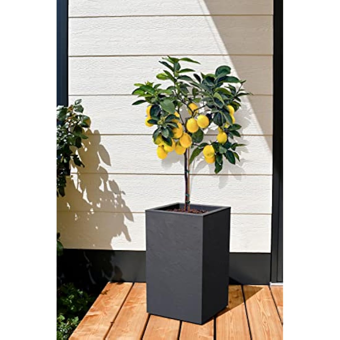 EDA Tall Square Planter, Anthracite Grey, 29,5 x 29,5 x 49,5 cm