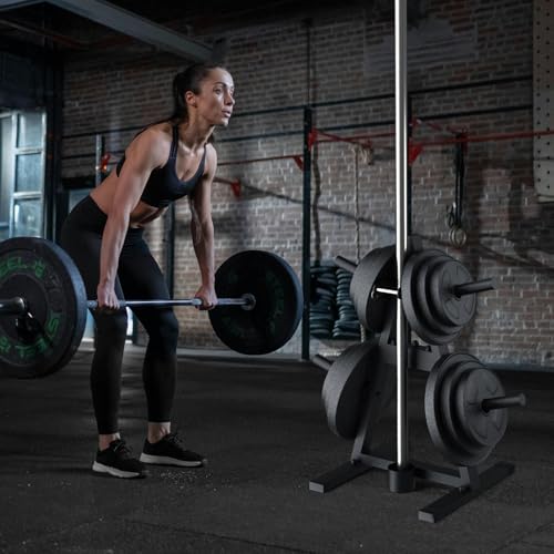 A-Frame Weight Plate Tree for 1" Olympic Plates - Holds 300 lbs, Dumbbell Rack and Home Gym Storage Stand - Organize Your Workout Area !