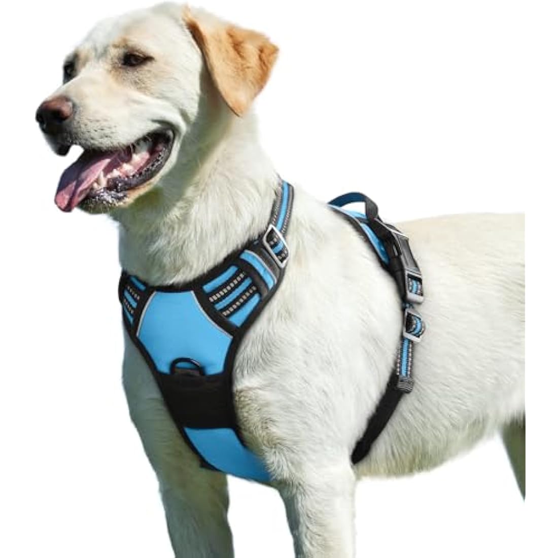 Eagloo Dog Harness Large Dog, No Pull Harness with Front Back Clips, Adjustable Pet Walking Vest, Soft Padded Pet Vest, Reflective No-Choke Breathable with Easy Control Handle, Sky Blue, L