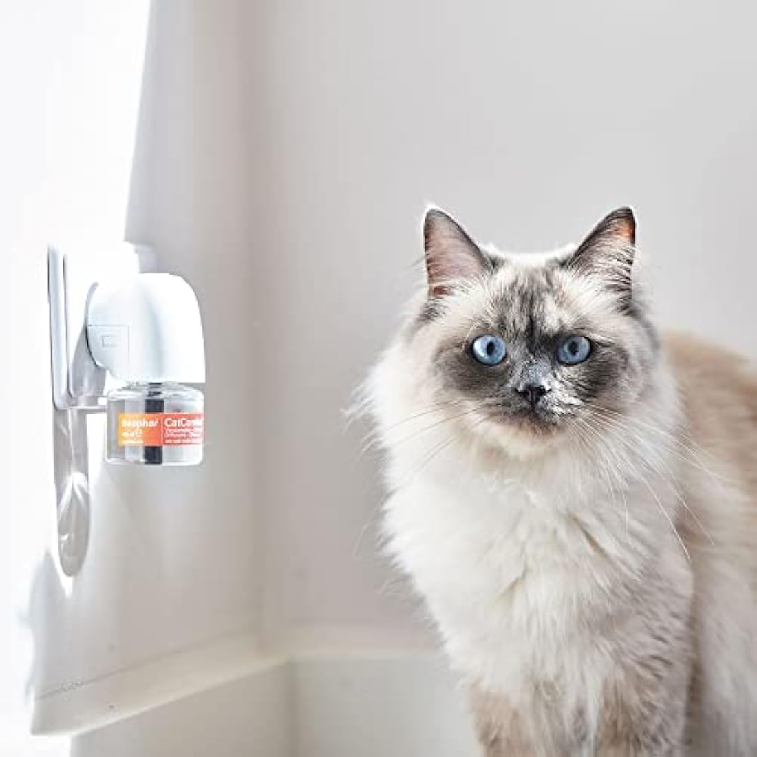 Beaphar | CatComfort Calming Diffuser Refill | Reduces Anxiety & Stress in Cats | Helps Ease Fear of Fireworks | Covers 70m² Area | Lasts Up To 30 Days