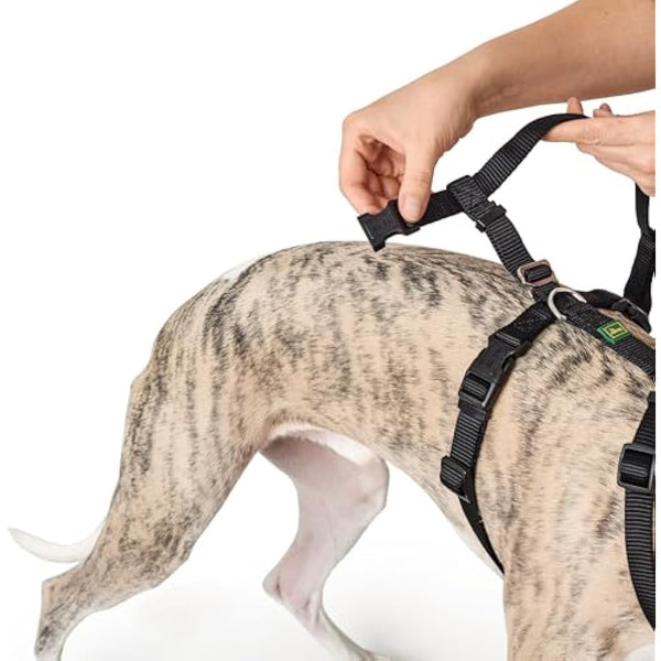 HUNTER Escape-proof harness Vario Rapid, L black, Nylon