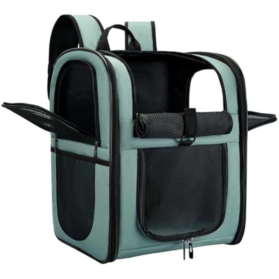 APOLLO WALKER Pet Carrier Backpack for Small Cats and Dogs, Puppies, Two-Sided Entry, Safety Features and Cushion Back Support for Travel, Hiking, Outdoor Use (Blue)