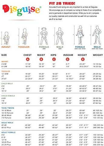 Disguise DG67753B Zelda Breath of the Wild Adult Costume, Multi, One Size