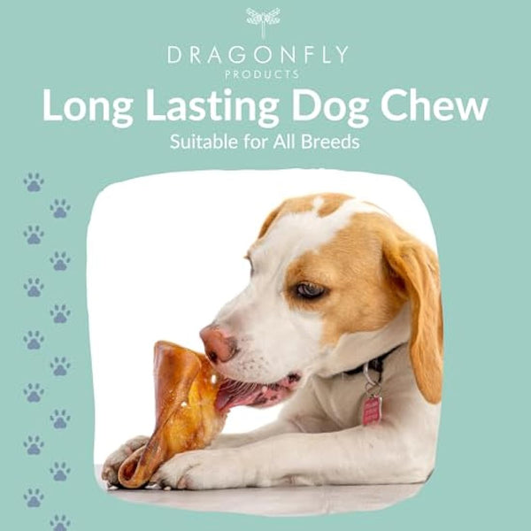 Dragonfly Products Pigs Ears For Dogs | 25 Large Pieces | British Whole Pork Ear Chew | Natural Raw Healthy Treat | Grain Free Long Lasting Snack