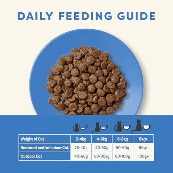 Applaws Complete Natural and Grain Free Dry Adult Cat Food, Ocean Fish with Salmon, 6 kg Bag