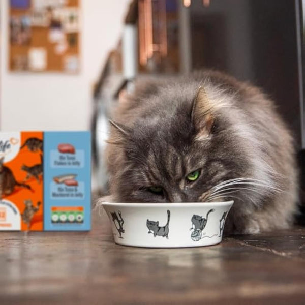 HiLife Adult Wet Cat Food, Mixed Tuna in Jelly Recipes, Complete Cat Food Pouches, 100% Natural & Grain Free, Tuna Flakes / with Mackerel(32 x 70g Pouches)