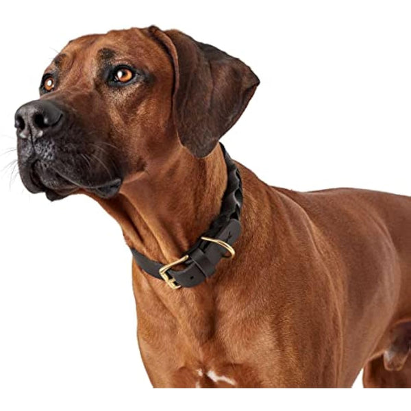 HUNTER Sansibar Solid Dog Collar Leather Heavy Duty Grippy Braided 55 (M) Black