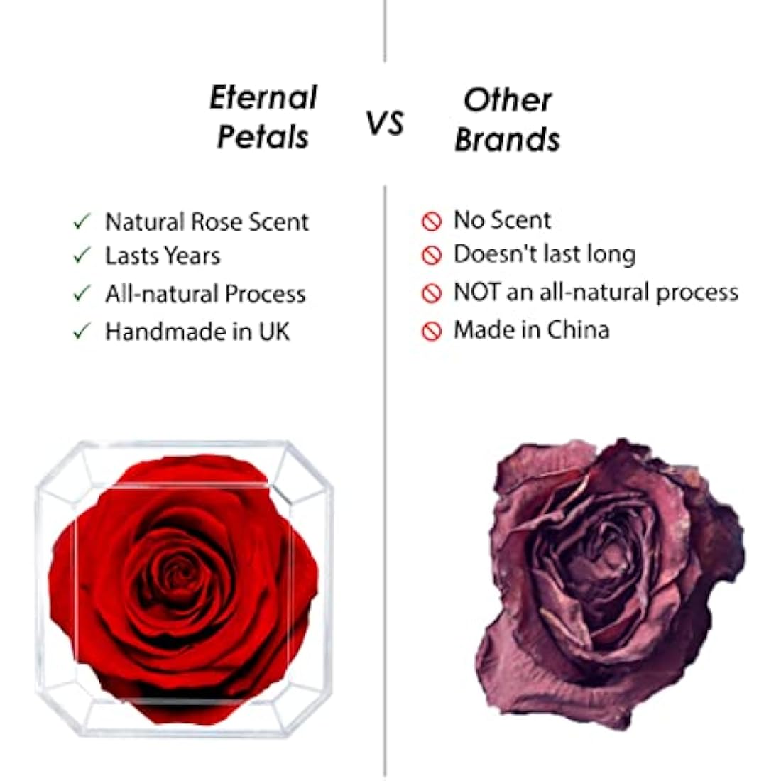 Eternal Petals A 100% Real Rose That Lasts Years, Handmade in UK – White Gold Solo (Black)