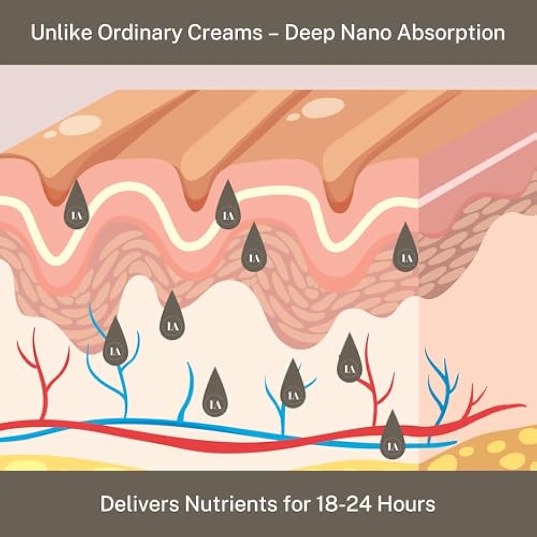 InfiniteAloe Gold Anti-Aging Moisturizer Formula - Organic Aloe Supported by Twelve Key Anti-Aging Ingredients to Deliver Younger Looking, Hydrated, Soft Skin (1.7 Oz.)