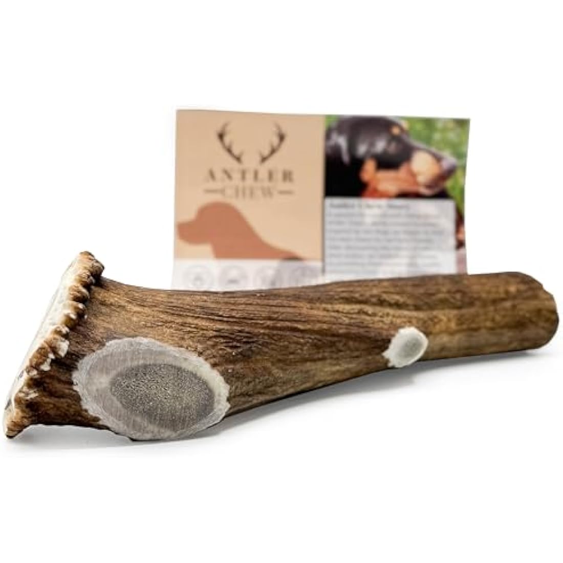 Antler Chew – Super Extra Large Antler Dog Chew (350–450g, From 17cm) | Naturally Shed & Sanded | Long-Lasting, Odourless Chew for Moderate Chewers | Supports Dental Health