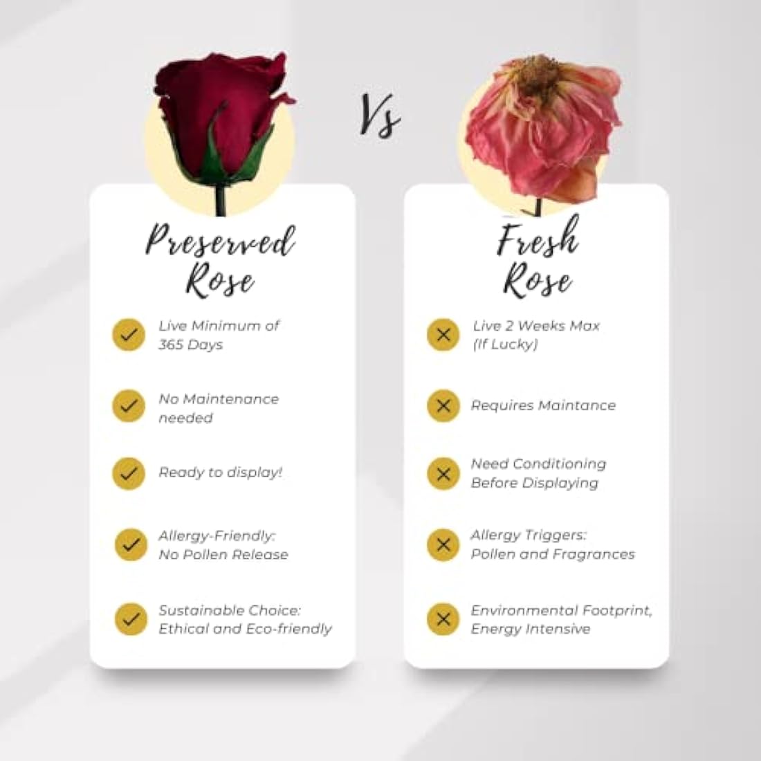 Eternal Blossom Preserved Real Infinity Rose | Eternal Rose That Lasts Over A Year | Black Box | With Gift Box (Rouge Red)