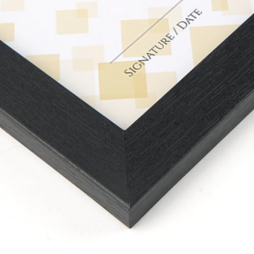 HORLIMER A4 Frames Pack of 15, Black A4 Picture Frame for Displaying Certificates, Posters, Prints, and Documents on Wall or Tabletop