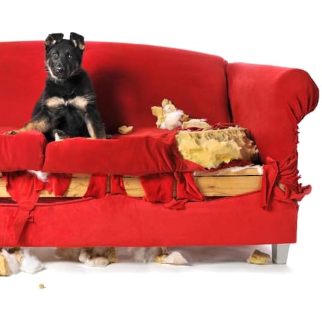 Simple Solution Chew Stopper, Deterrent for Puppy Training to Discourage Licking and Chewing - 500ml