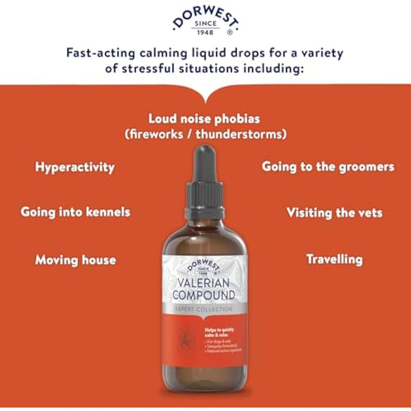 Dorwest Valerian Compound for Dogs and Cats, 100ml, Quick-acting Dog Calming Liquid Drops - Valerian for Dogs, Non-Drowsy