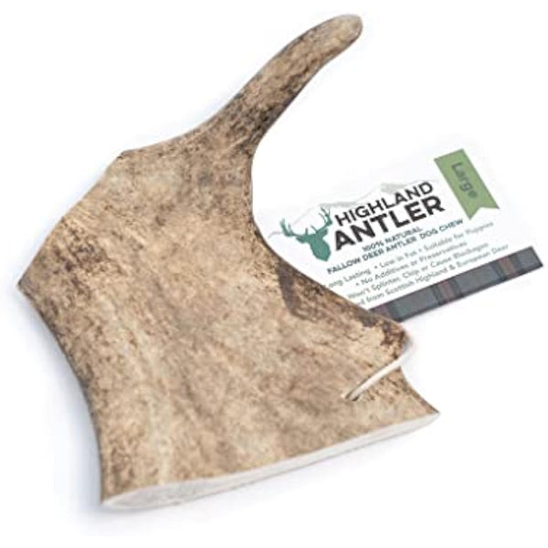Highland Antler - Natural Fallow Antler Dog Chew. Pack of 1x Large (150g - 220g) Naturally Shed Fallow Deer Antler, Long Lasting Dog Chew Bone With Calcium And Minerals (Shape may vary)