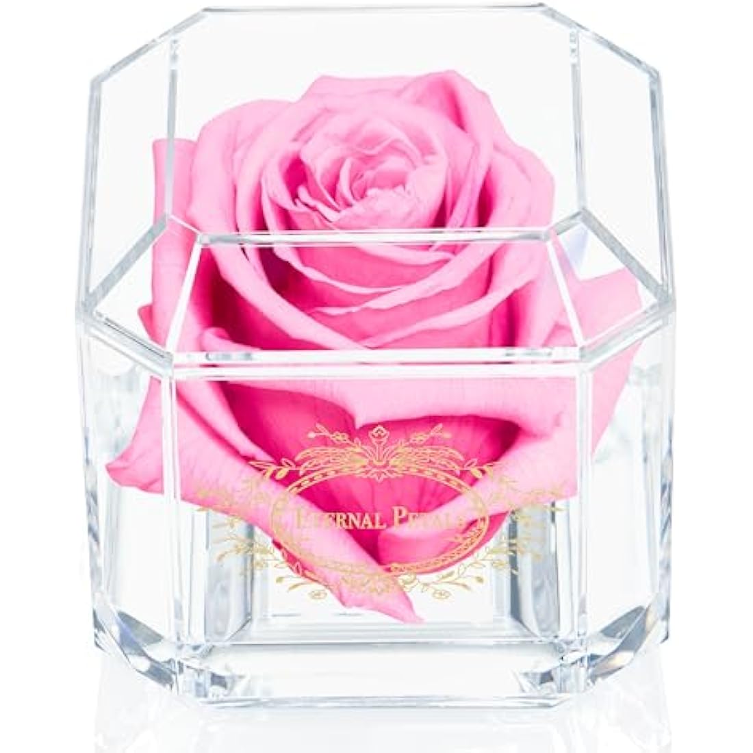 100% Real Rose That Lasts A Year | Single Pink Rose in Box | Unique Birthday Gift