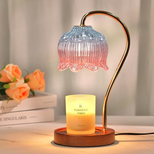 Funistree Dimmable Candle Warmer Lamp with Timer, Birthday Gifts for Women Mum Sister, Vintage Blue and Pink Candle Lamp Warmer for Jar Candle