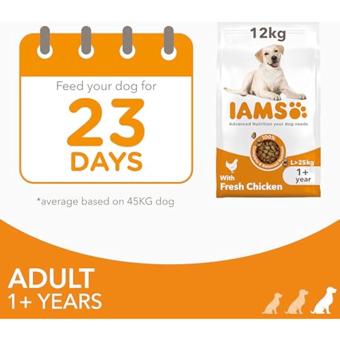 IAMS Adult Large Complete Dry Dog Food Chicken 12kg - With DentalCare System