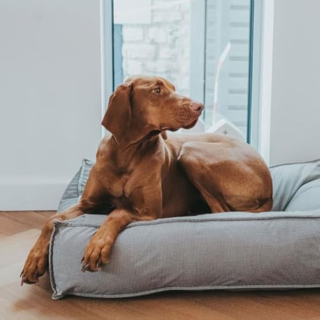 HUNTER Lancaster dog bed