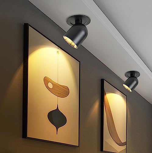 Dr.lazy Indoor 12W LED Recessed Ceiling Spotlights, Ceiling Spots, recessed Ceiling lamp, Adjustable Ceiling Light, Downlight, for Hallway Lounge